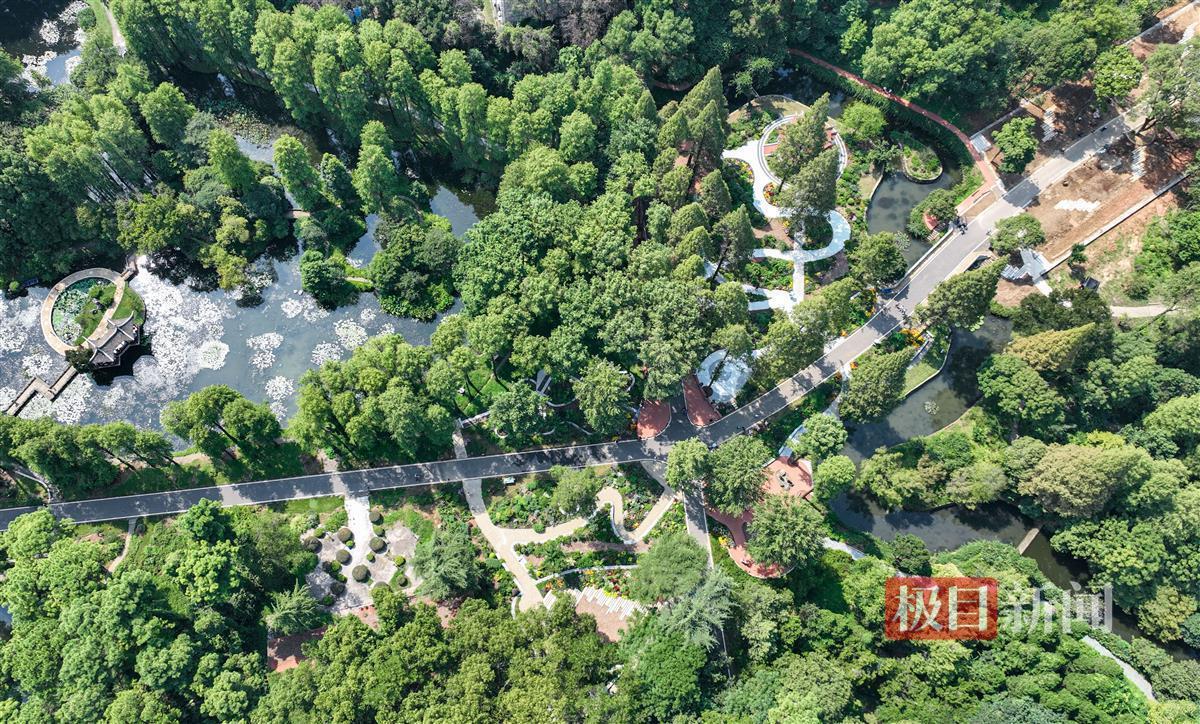 bet手机端